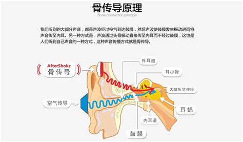 骨传导耳机的危害性(骨传导耳机的危害性有多大)缩略图